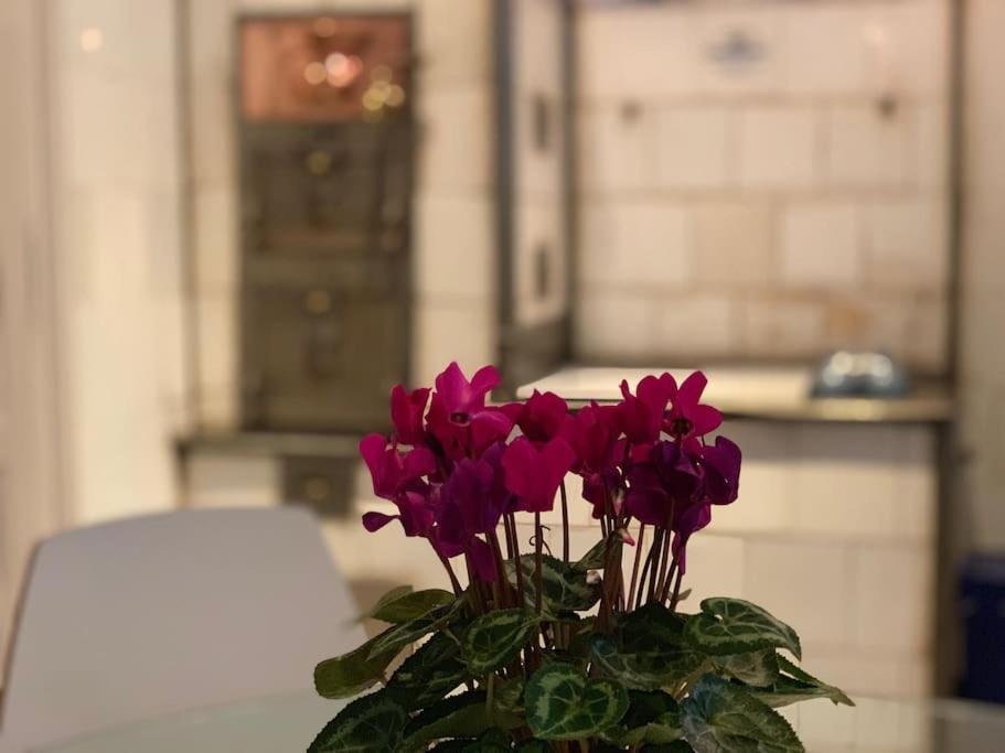 Giulietta With Garden, Free Parking Villa