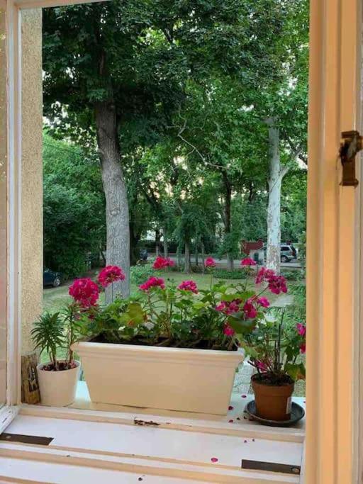 Villa Giulietta With Garden, Free Parking *