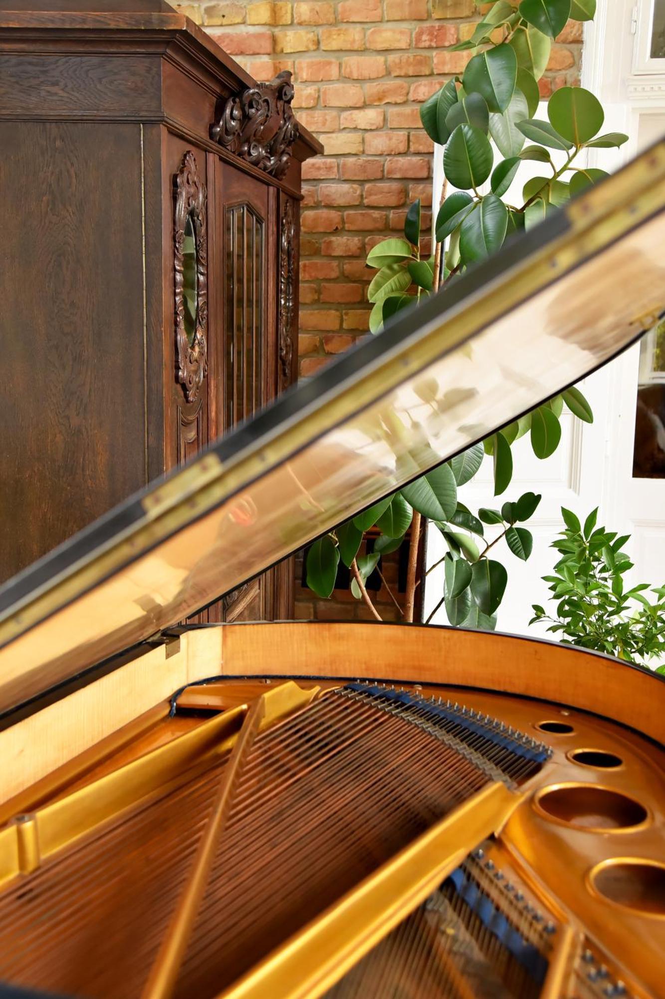 Villa Giulietta With Garden, Free Parking *